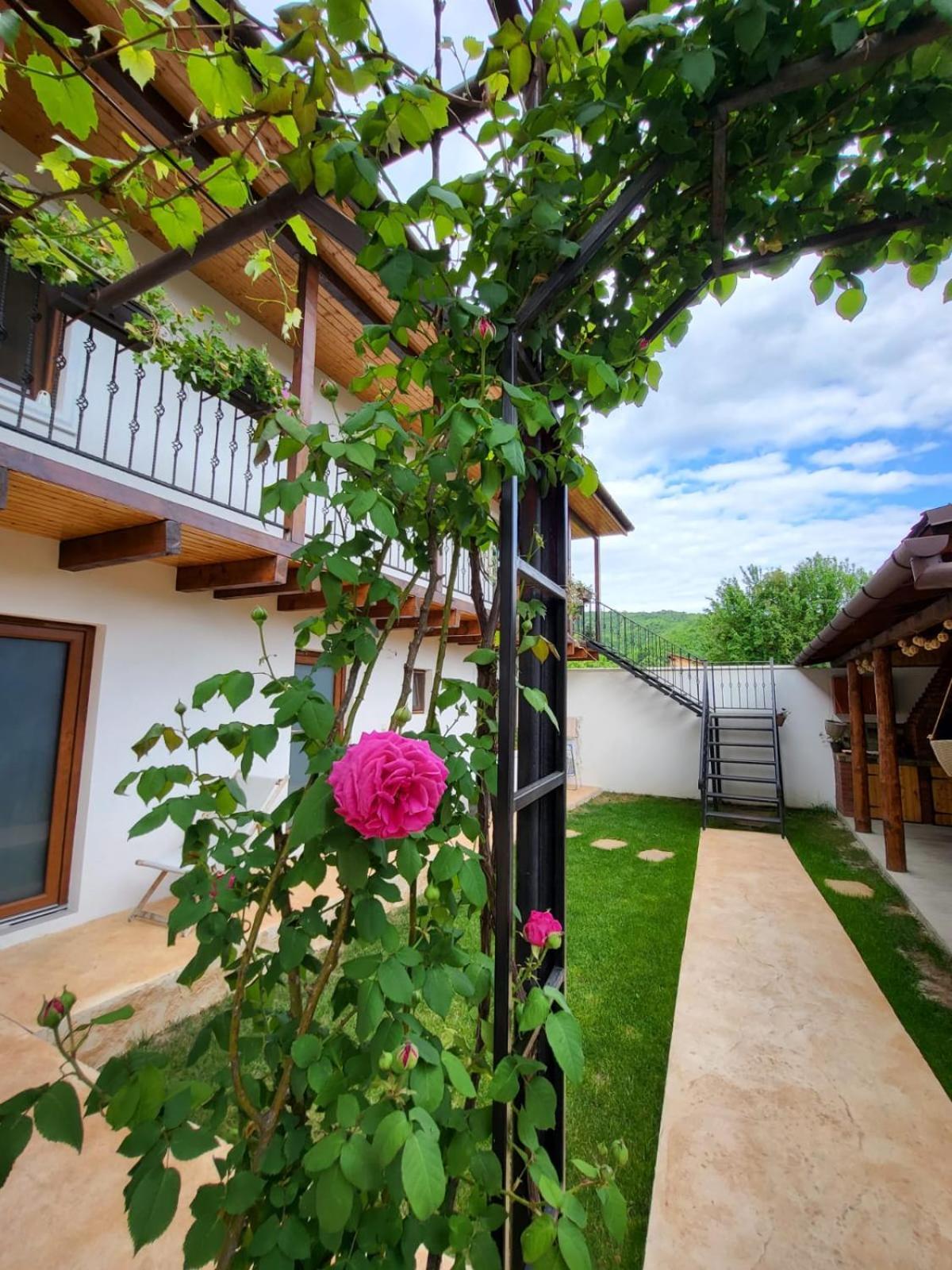 Casa Din Sat Hotel Eselnita Exterior photo